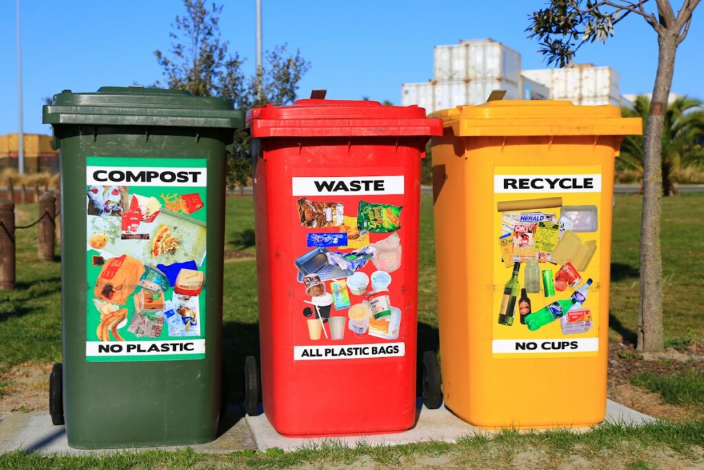 Recycling facility sorting paper and cardboard