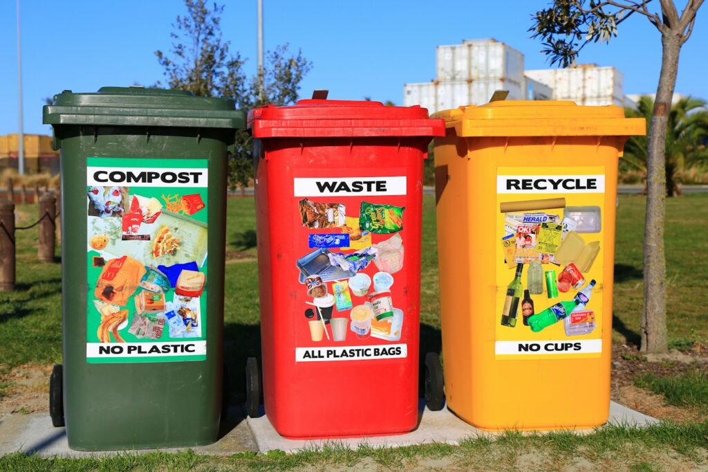 Recycling facility sorting paper and cardboard